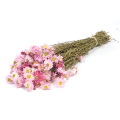 Dried Flowers 100 Gram 50cm 75gram