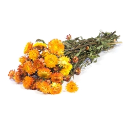 Dried Flowers 100 Gram 50cm 75gram
