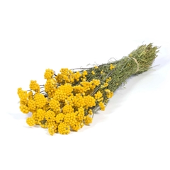 Dried Flowers 100 Gram 40cm 110gram
