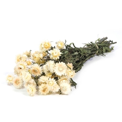 Dried Flowers 100 Gram 45cm 80gram
