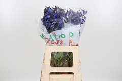Delph En Donna Blue 80cm