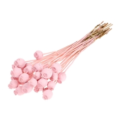 Droogbl Bewerkt H% 55cm 150gram