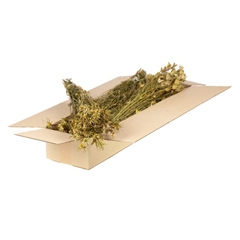 Dried Flowers 100 Gram 60cm 110gram