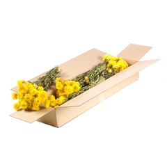 Dried Flowers 100 Gram 45cm 95gram