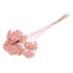 Droogbl Bewerkt H% 50cm 85gram