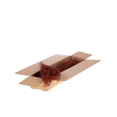 Droogbl Bewerkt H% 45cm