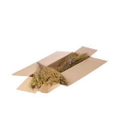 Droogbl Bewerkt H% 45cm