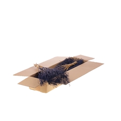 Droogbl Bewerkt H% 55cm