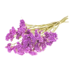 Dried Flowers 100 Gram 60cm 55gram