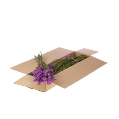 Dried Flowers 100 Gram 60cm 55gram