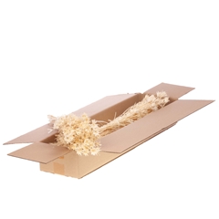 Droogbl Bewerkt H% 40cm 65gram
