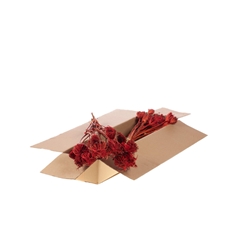 Droogbl Bewerkt H% 50cm