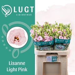 Eus G Lisanne L Pink