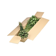 Droogbl Bewerkt H% 55cm 150gram