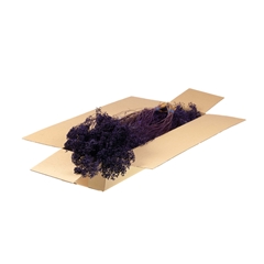 Droogbl Bewerkt H% 40cm 85gram