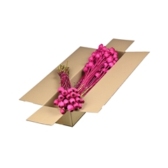 Droogbl Bewerkt H% 55cm 150gram