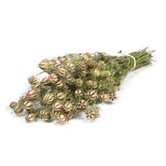 Droogbl Bewerkt H% 50cm 95gram
