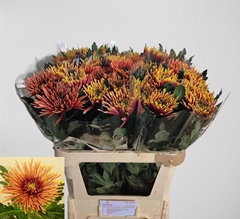 Chr G Tula Copper 80cm 100gram