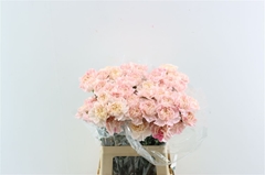 Di St Other 60cm 34