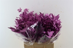 Eucalyp Klb Bs H% 65cm 300gram