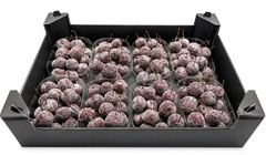 Gewaxde Appel 21%