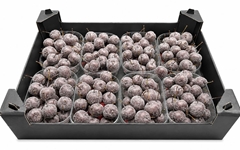 Gewaxde Appel 21%