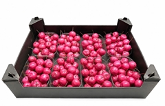 Gewaxde Appel 21%