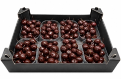 Gewaxde Appel 21%