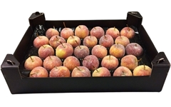Gewaxde Appel 21%