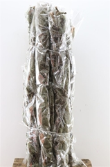 Till Other 75Ø 500cm
