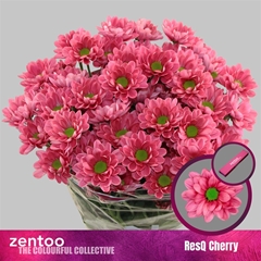 Chr T Resq Cherry 70cm 95gram