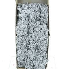 Schinus M Dec Bes Bs 30cm 200gram