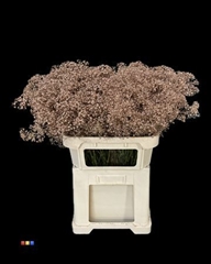 Gyps Colortreated 80cm