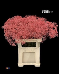 Gyps Colortreated 80cm