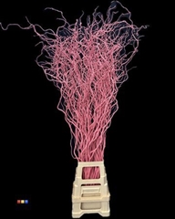 Salix 130cm Pink