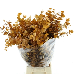 Droogbl Bewerkt H% 70cm 150gram