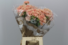 Di St Caramel 65cm 23