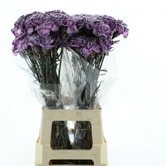 Di St Ov Klb 21% 70cm 23