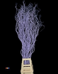 Salix 130cm Light Milka
