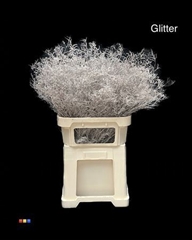Limonium Platina + Glit Bio