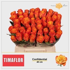 R Gr Confidential