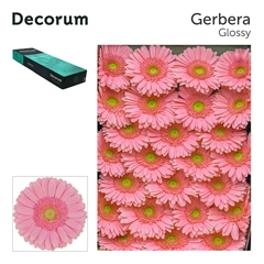 Ge Gr Glossy 45cm 10cm Ø