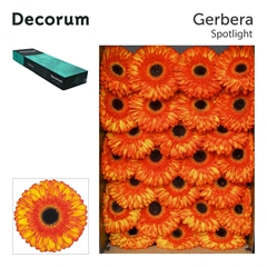 Ge Gr Spotlight 45cm 10cm Ø