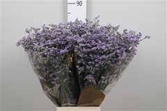 Lim Ov Utah Blue 80cm 35gram