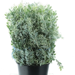 Decogroen Ov Bs 65cm 200gram