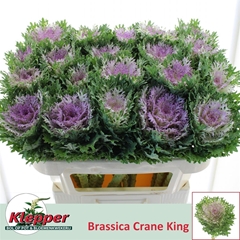 Brass Crane King 70cm