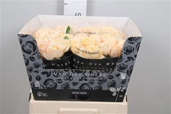 R Gr London Tower 60cm 5cm