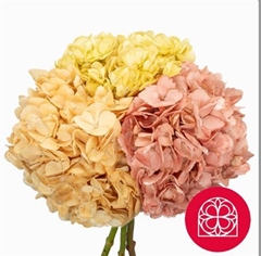 Hydr Other 60cm 18cm Ø