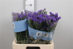 Lim S Cryst Dark Blu 70cm 40gram
