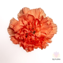 Di St Hermes Orange 70cm 24